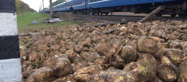 Поезд сбил грузовик, перевозивший корнеплоды под Барановичами Поезд сбил грузовик, перевозивший корнеплоды под Барановичами - Sputnik Беларусь