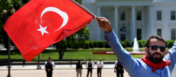 Турецкие флаги во время митинга перед Белым домом в Вашингтоне, архивное фото - Sputnik Беларусь