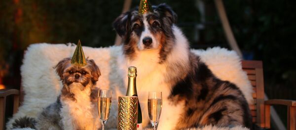 Год собаки - Sputnik Беларусь