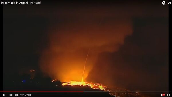 Огненный смерч сняли на видео в Португалии - Sputnik Беларусь