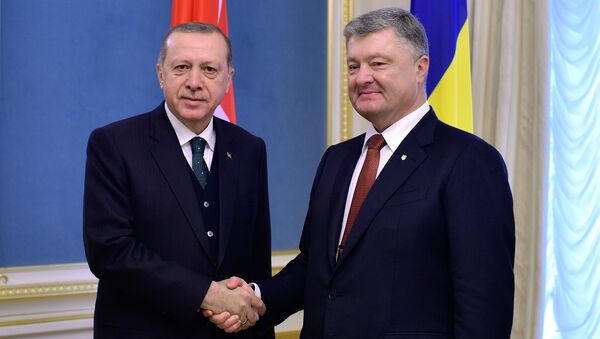Визит президента Турции Реджепа Тайипа Эрдогана в Украину - Sputnik Беларусь