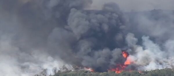 Съемка с воздуха природного пожара в Калифорнии - Sputnik Беларусь