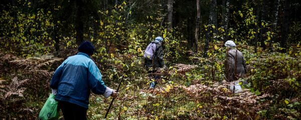 Сбор грибов, архивное фото - Sputnik Беларусь