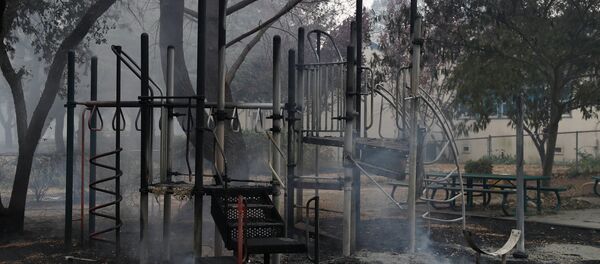 Пожары в Калифорнии - Sputnik Беларусь