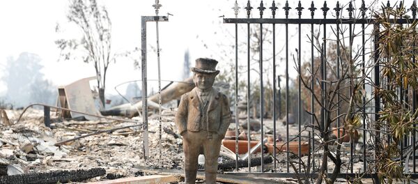 Пожары в Калифорнии Пожары в Калифорнии - Sputnik Беларусь