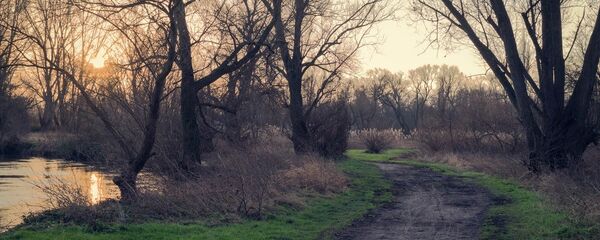 Осеннее утро - Sputnik Беларусь