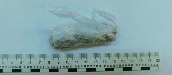 Обнаруженная партия героина в Полоцке - Sputnik Беларусь
