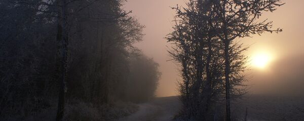 Завіруха Завіруха - Sputnik Беларусь