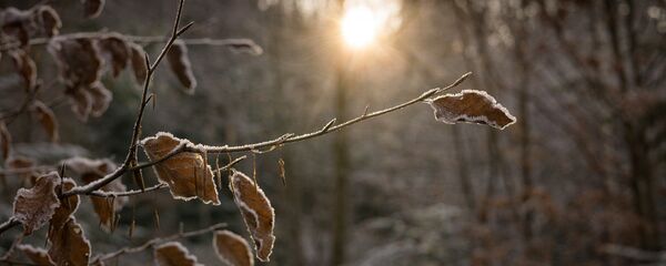 Первый снег в октябре, архивное фото - Sputnik Беларусь