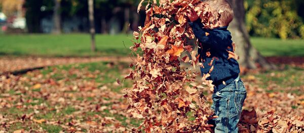 Дзіця ў восеньскім парку Дзіця ў восеньскім парку - Sputnik Беларусь