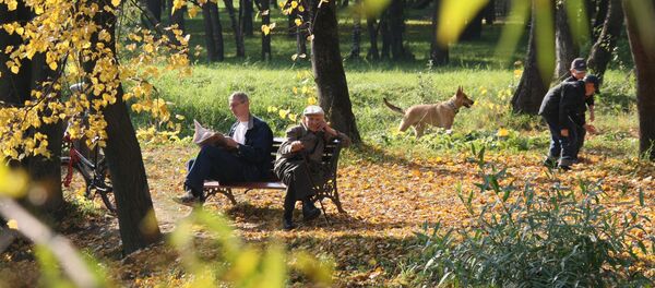 Сабакі ў восеньскім парку Сабакі ў восеньскім парку - Sputnik Беларусь