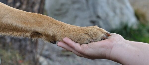 Дружба собаки и человека, архивное фото - Sputnik Беларусь