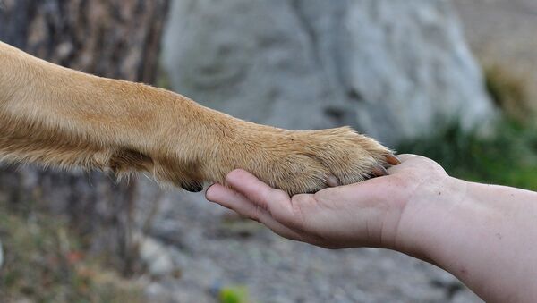 Дружба собаки и человека, архивное фото - Sputnik Беларусь
