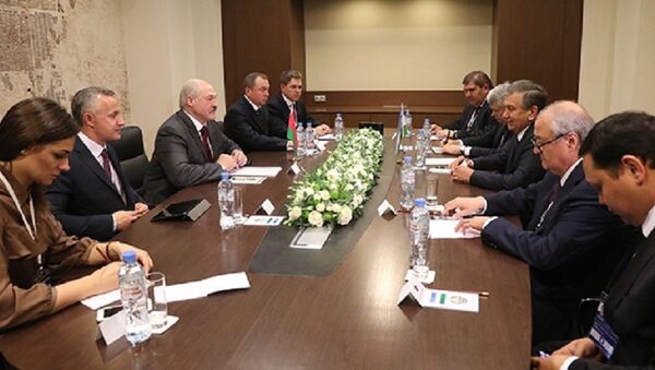 Встреча Александра Лукашенко с президентом Узбекистана Шавкатом Мирзиеевым - Sputnik Беларусь