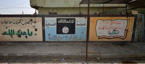 Стена города Хавия в Ираке Стена города Хавия в Ираке - Sputnik Беларусь