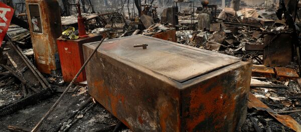 Последствия пожаров в Калифорнии - Sputnik Беларусь