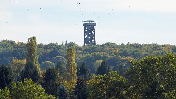 Башня Гетё во Франкфурте-на-Майне, архивное фото - Sputnik Беларусь