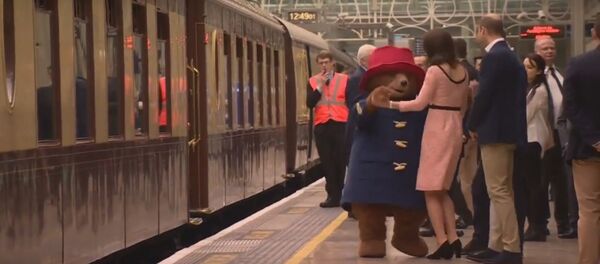 Кейт Миддлтон станцевала с медвежонком Паддингтоном на лондонском вокзале, видео - Sputnik Беларусь