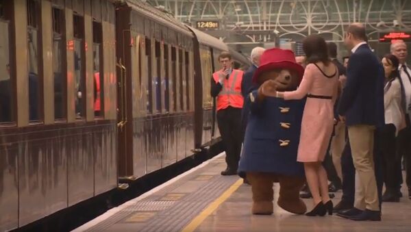 Кейт Миддлтон станцевала с медвежонком Паддингтоном на лондонском вокзале, видео - Sputnik Беларусь