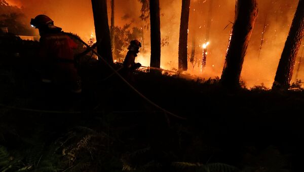 Борьба с лесными пожарами в Португалии - Sputnik Беларусь