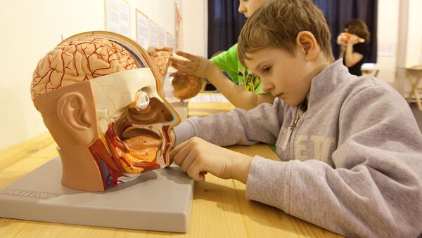 Дети рассматривают макет человеческой головы в музее занимательных наук Экспериментаниум в Москве - Sputnik Беларусь
