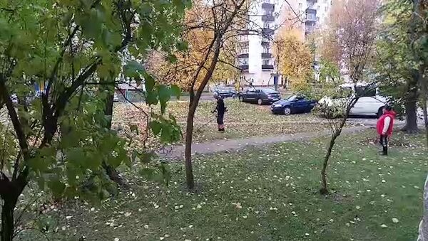 Видеофакт: могилевские коммунальщики косят опавшую листву - Sputnik Беларусь