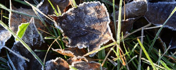 Шэрань Шэрань - Sputnik Беларусь