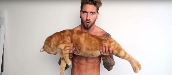 Спорт-блогер качается с помощью рыжего кота, видео - Sputnik Беларусь