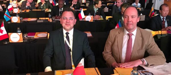 Первый заместитель главы МИД Беларуси Андрей Евдоченко принял участие во встрече международных участников ЭКСПО-2020 - Sputnik Беларусь