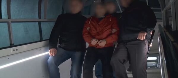 В Беларусь экстрадирован нелегальный бизнесмен-застройщик, видео - Sputnik Беларусь