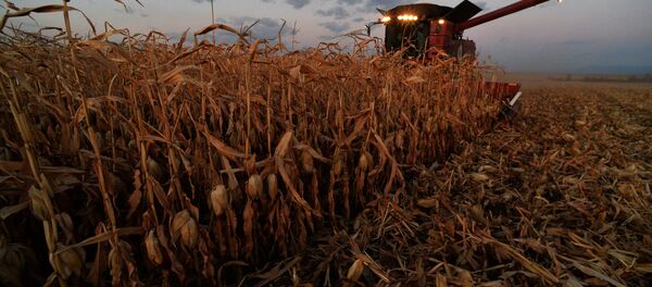 Уборка ўраджаю, архіўнае фота Уборка ўраджаю, архіўнае фота - Sputnik Беларусь