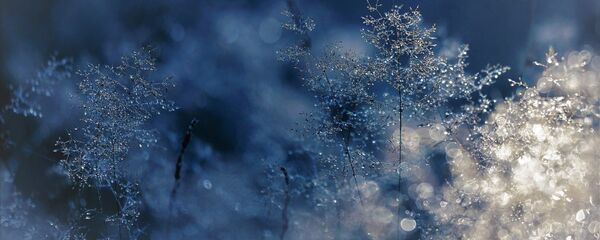 Шэрань Шэрань - Sputnik Беларусь