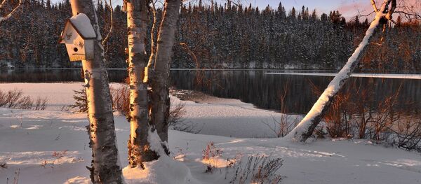 Лед на озере - Sputnik Беларусь