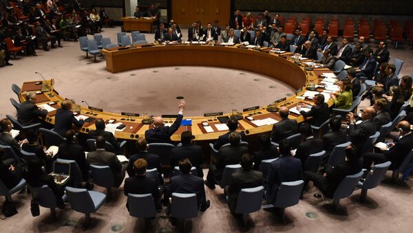 Постпред России в ООН Василий Небензя не голосовал против резолюции по Сирии в Совбезе ООН 24 октября 2017 года - Sputnik Беларусь