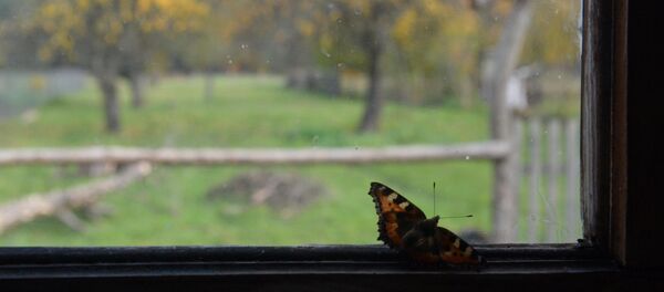 Последние теплые дни осени - Sputnik Беларусь