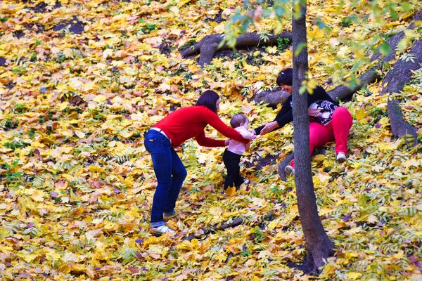 Осень в парке - Sputnik Беларусь
