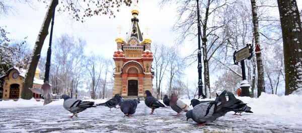 Гомель Гомель - Sputnik Беларусь
