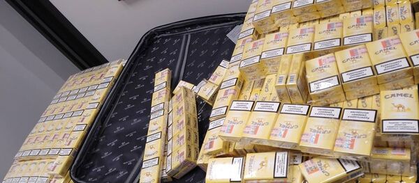 Чемодан с контрабандными сигаретами - Sputnik Беларусь