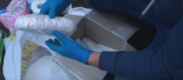 Полиция опубликовала видео задержания белоруски с гашишем в Украине - Sputnik Беларусь