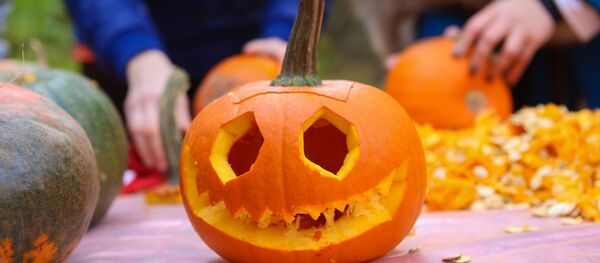 Фестываль старажытнай кельцкай культуры Самайн прайшоў у Батанічным садзе - Sputnik Беларусь