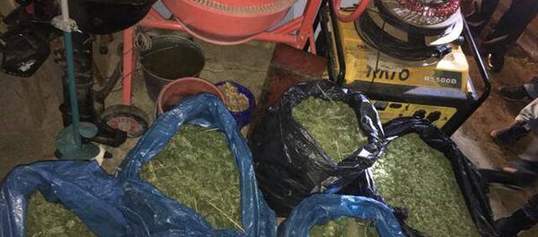 Изъятые наркотики - Sputnik Беларусь