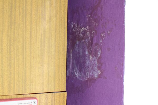 Стена в квартире Александра Ларина промокла насквозь - Sputnik Беларусь