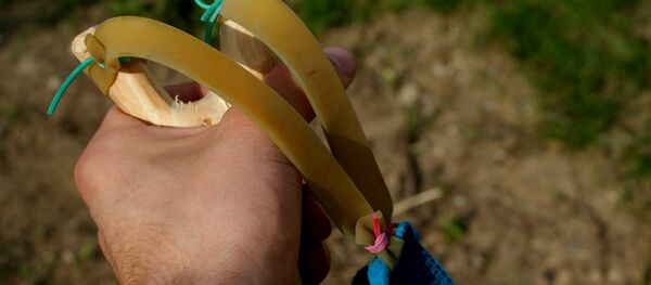 Рогатка, архивное фото - Sputnik Беларусь