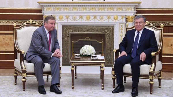 Премьер-министр Республики Беларусь Андрей Кобяков встретился с президентом Узбекистана Шавкатом Мирзиёевым - Sputnik Беларусь