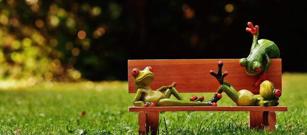 Лягушки на скамейке - Sputnik Беларусь