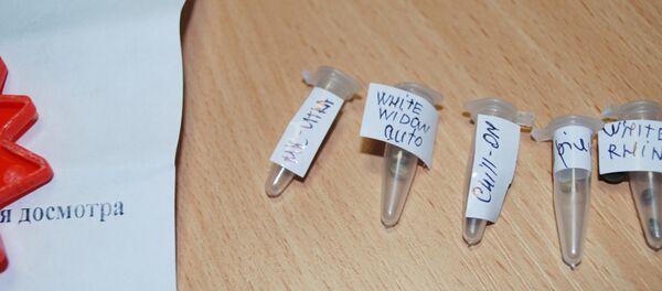 Семена конопли - Sputnik Беларусь