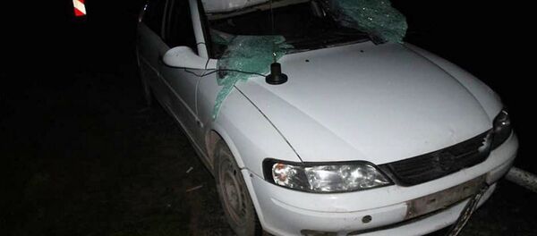 ДТП под Ивье: легковой автомобиль сбил лося - Sputnik Беларусь