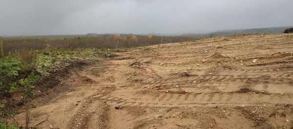 Археологический объект коло деревни Арпа поврежден строительной техникой - Sputnik Беларусь