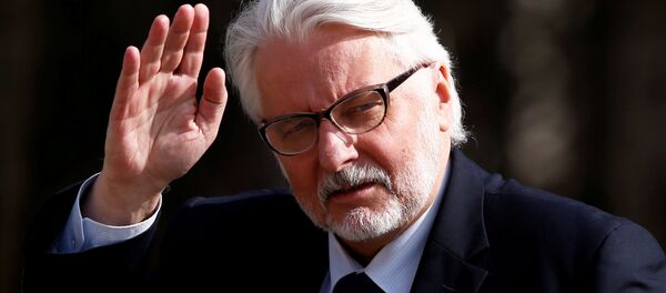 Министр иностранных дел Польши Витольд Ващиковский Министр иностранных дел Польши Витольд Ващиковский - Sputnik Беларусь