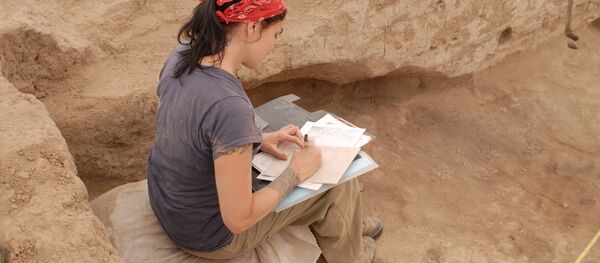 Археолаг за працай, архіўнае фота Археолаг за працай, архіўнае фота - Sputnik Беларусь